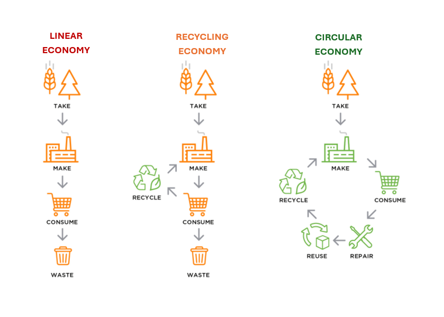 Circular Economy in Packaging- Real Change Starts Small